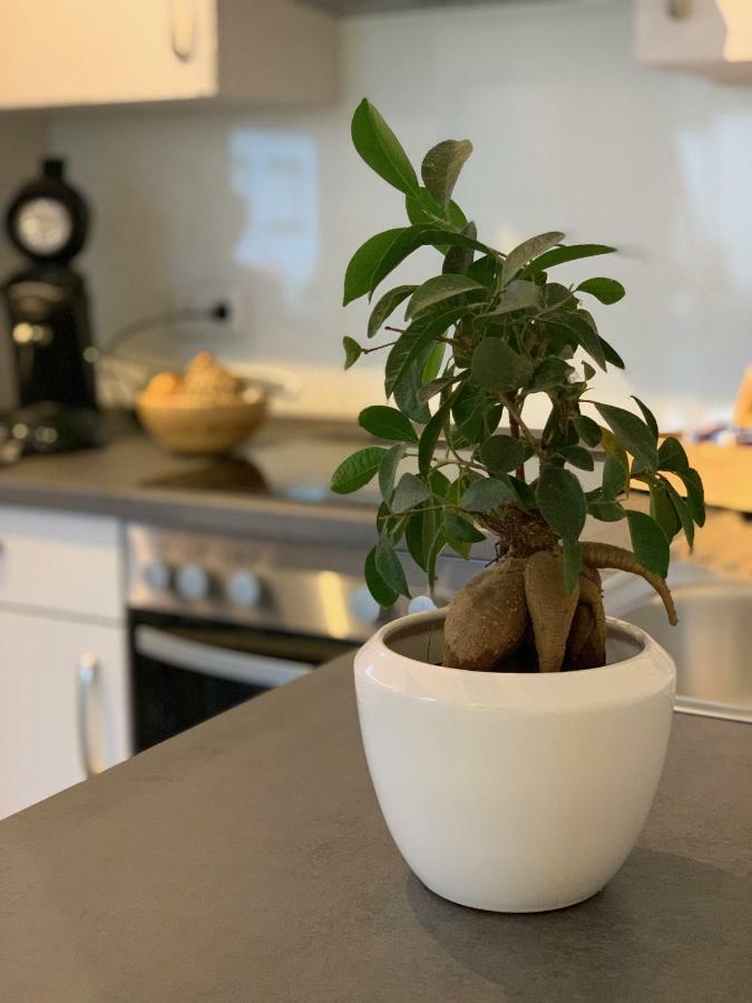 Apartment Koeln Ensen ภายนอก รูปภาพ