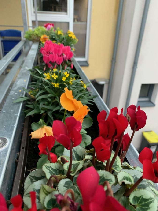Apartment Koeln Ensen ภายนอก รูปภาพ